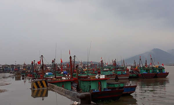 Hầu hết các tàu thuyền của tỉnh Nghệ An đã vào nơi tránh, trú bão an toàn