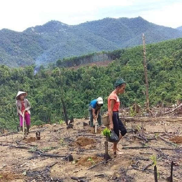 Người dân ở nhiều huyện miền núi tỉnh Nghệ An đang thiếu đất sản xuất do các công ty nông, lâm trường “ôm” quá nhiều đất