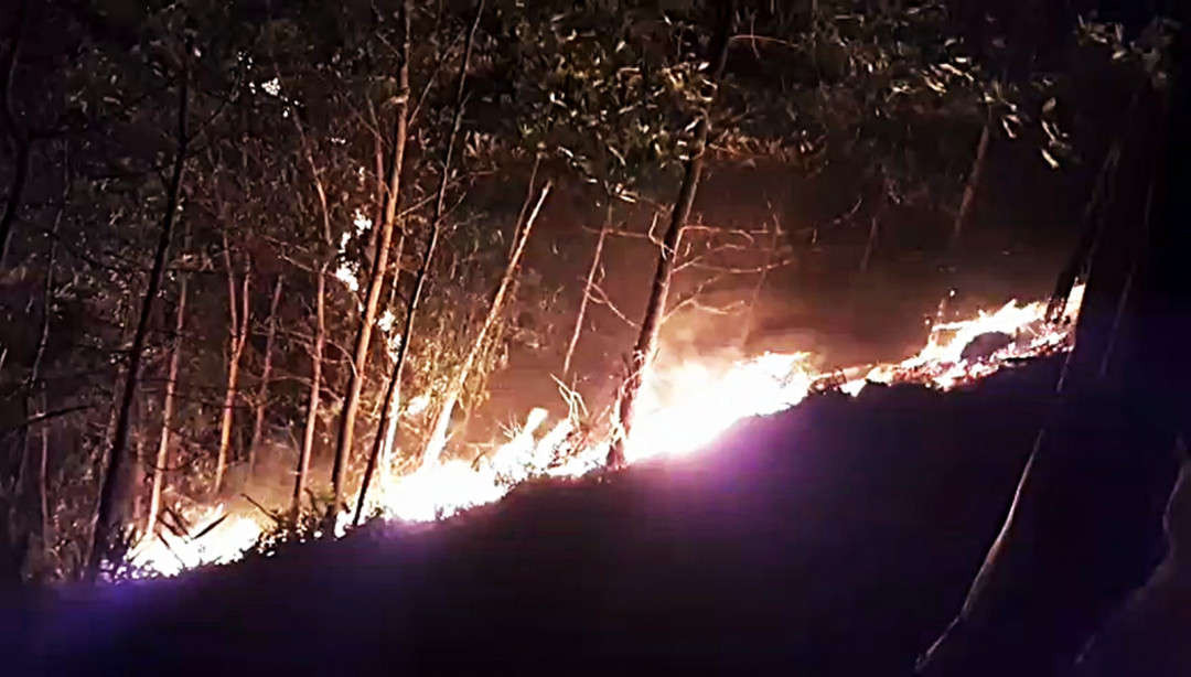 Cháy rừng ở xã Quế Thọ (huyện Hiệp Đức, tỉnh Quảng Nam)
