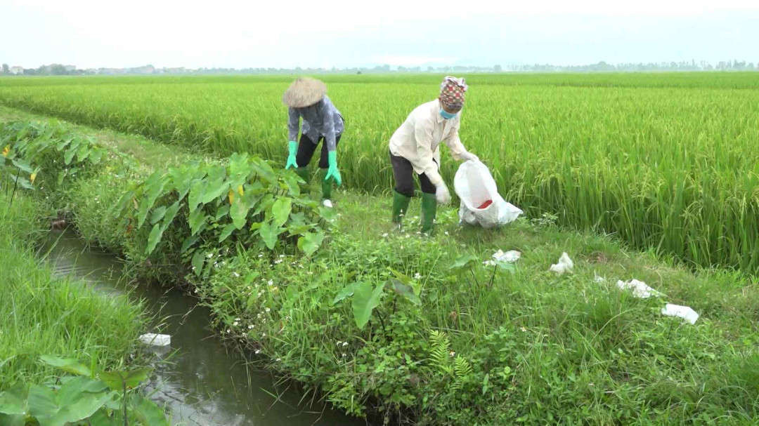 Hội nông dân xã Quỳnh Phú thu gom rác thải đồng ruộng