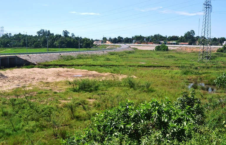 Hàng chục ha đất nông nghiệp bỏ hoang do ảnh hưởng từ dự án đường cao tốc Đà Nẵng - Quảng Ngãi