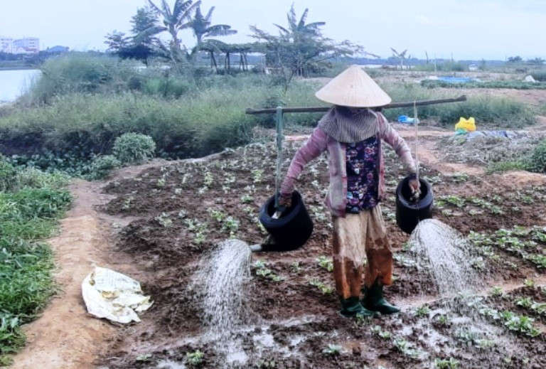 Qua trao đổi, ông Lê Văn Sơn, Chủ tịch UBND quận Cẩm Lệ, cho biết hiện chính quyền quận đang nỗ lực vận động các cấp cùng người dân địa phương trang bị các giếng khoan để lấy nước canh tác, sản xuất rau ngắn ngày