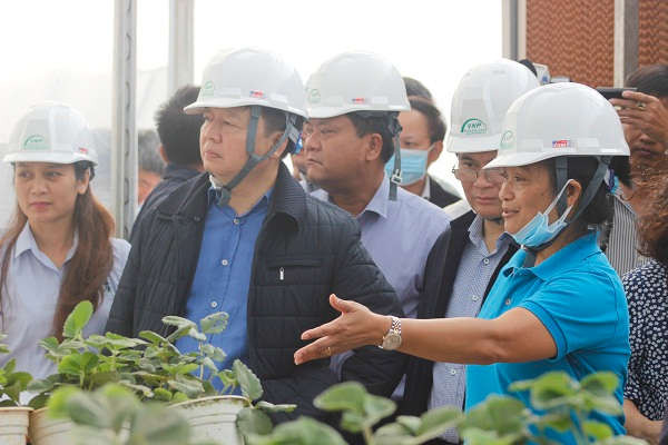 Bộ trưởng Trần Hồng Hà tham quan Khu sản xuất ứng dụng nông nghiệp công nghệ cao của Công ty Phát triển dự án Việt Nam
