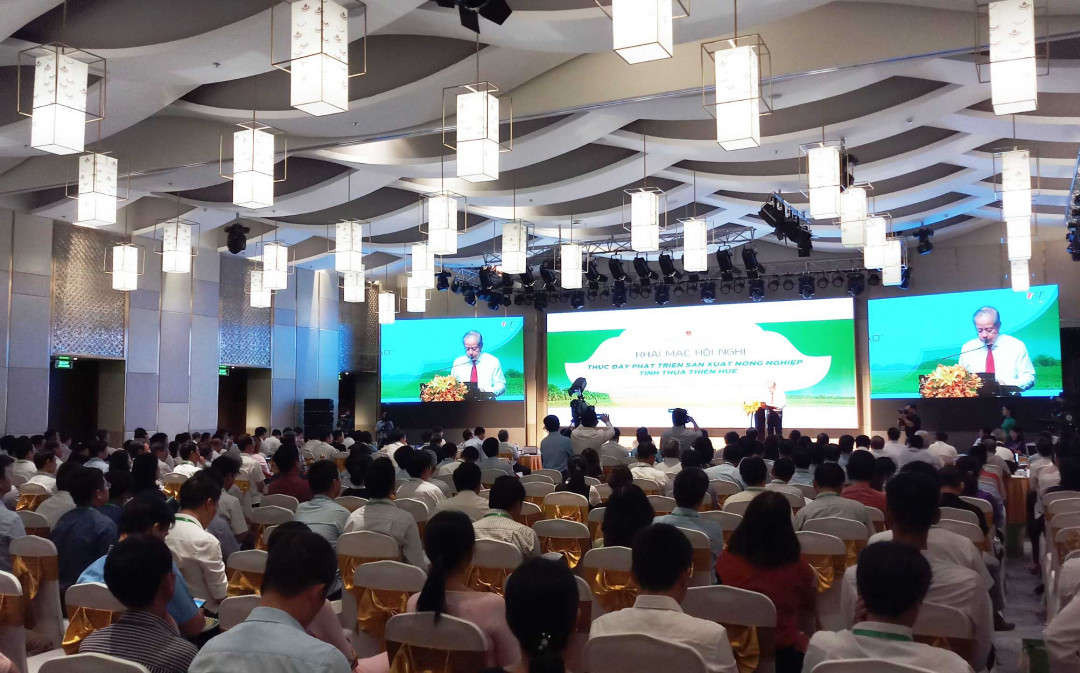 Hội nghị thúc đẩy phát triển sản xuất nông nghiệp Thừa Thiên Huế