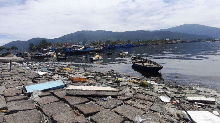 Mặc dù đã có hệ thống xử lý nhưng tình trạng xả lén nước thải ra môi trường khiến âu thuyền, cảng cá Thọ Quang ở Đà Nẵng lâm vào cảnh ô nhiễm nặng