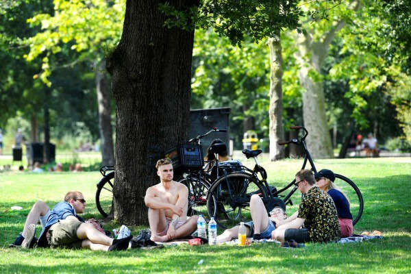 Mọi người ngồi nghỉ dưới bóng cây trong ngày nắng nóng ở Vondelpark, Amsterdam, Hà Lan, ngày 25/7/2019. Ảnh: REUTERS / Piroschka van de Wouw