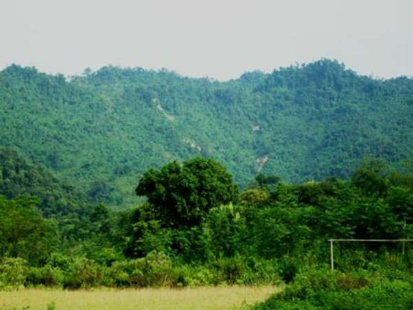 đất rừng Hà Nội