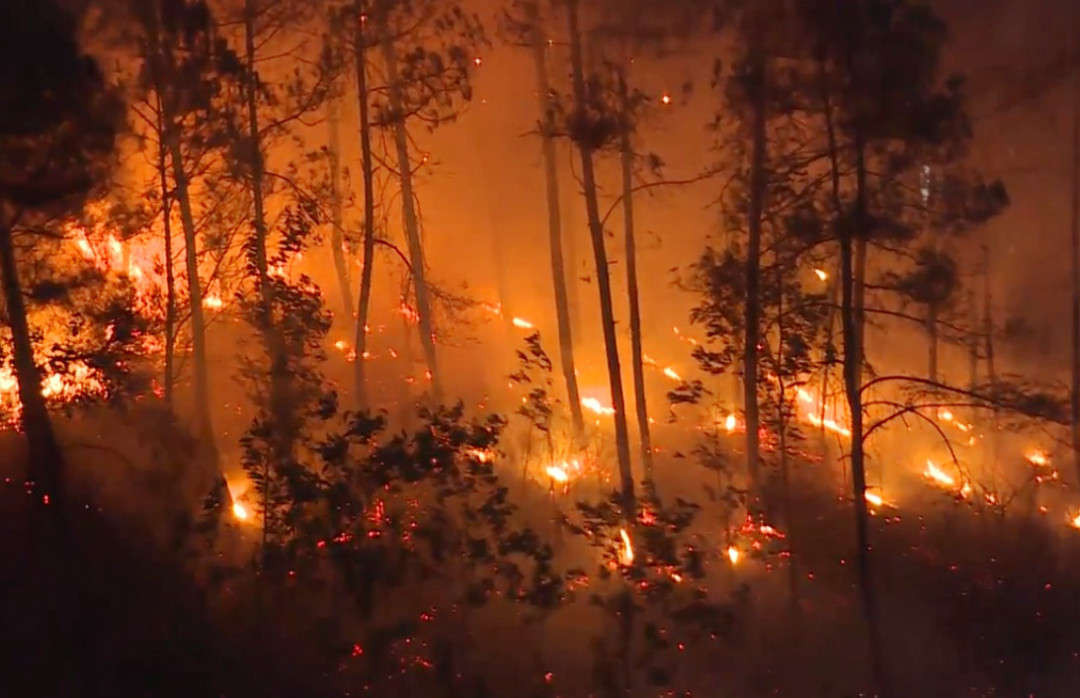 Hai tháng qua, tỉnh Thừa Thiên Huế đã xảy ra hàng chục vụ cháy rừng nghiêm trọng, thiệt hại hàng trăm hecta rừng trồng, rừng tự nhiên