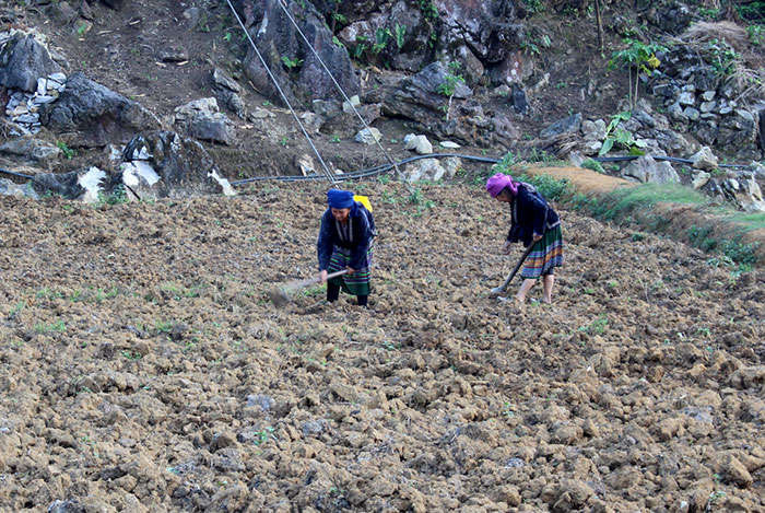 Người dân xã Mường Ðun làm đất chuẩn bị gieo trồng lạc và đậu tương trên đất lúa một vụ.