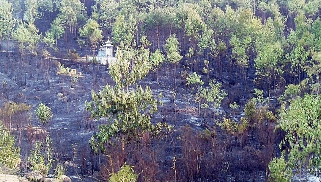 Vụ cháy rừng keo ở xã Duy Sơn, xã Duy Trinh (huyện Duy Xuyên) đã được khống chế vào lúc 9 giờ sáng nay (ngày 18/8)