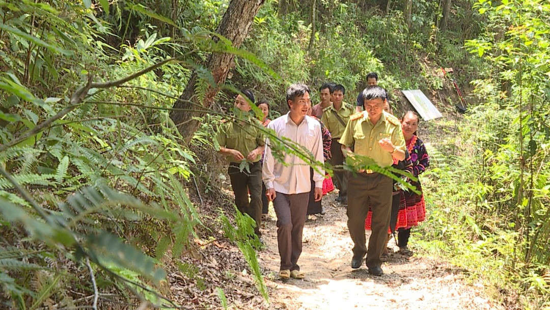 Điện Biên: Đẩy mạnh giao đất, giao rừng và cấp giấy CNQSD đất
