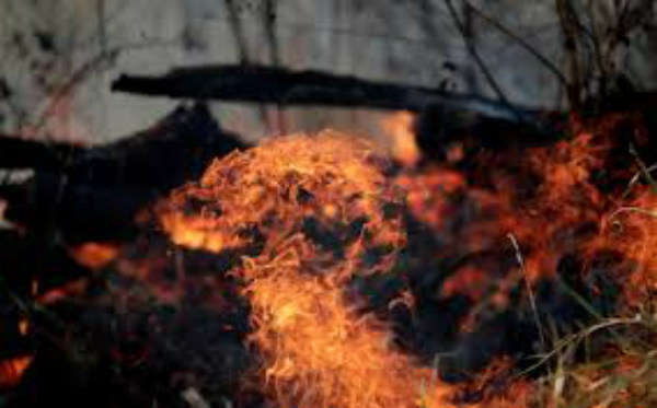 Rừng Amazon bị cháy ở Porto Velho, Brazil vào ngày 24/8/2019. Ảnh: Ueslei Marcelino
