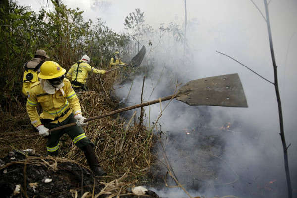 Lính cứu hỏa nỗ lực dập lửa dọc con đường đến rừng quốc gia Jacundá ở thành phố Porto Velho. Ảnh: Eraldo Peres / AP