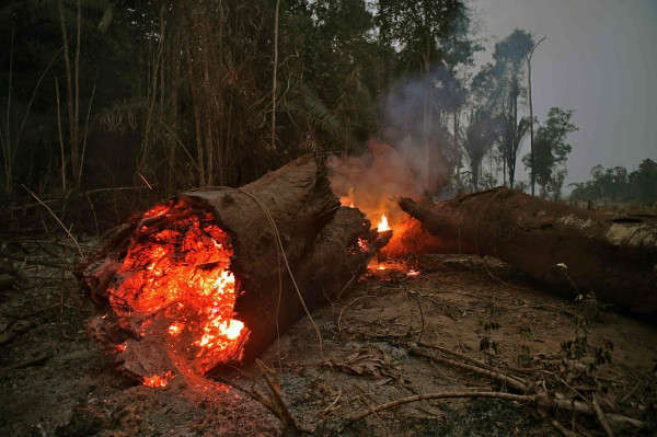 Cháy rừng thường xảy ra ở Amazon trong mùa khô nhưng đã đạt đỉnh điểm trong tháng này tới hơn 26.000 - con số cao nhất trong tháng 8 kể từ năm 2010. Ảnh: Carl de Souza / AFP / Getty Images