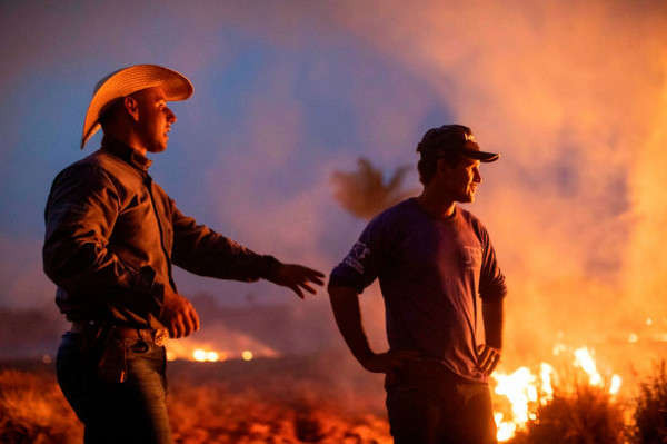 Người lao động cùng người bạn bất lực đứng nhìn đám cháy lan đến một trang trại bên cạnh đường cao tốc ở Nova Santa Helena. Ảnh: Joao Laet / AFP / Getty Images