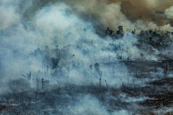 Khói bốc lên từ một đám cháy ở Novo Progresso, bang Pará. Ảnh: Victor Moriyama / Greenpeace Brazil