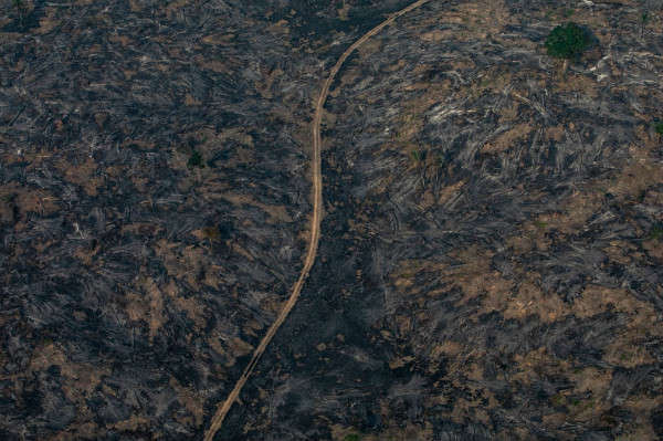 Một phần của rừng nhiệt đới Amazon đã bị tàn phá bởi hỏa hoạn ở Porto Velho. Ảnh: Victor Moriyama / Getty Images