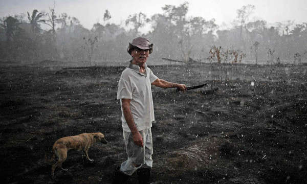 Người nông dân Brazil Aurelio Andrade và chú chó của ông đi bộ qua khu vực bị cháy ở Porto Velho. Ảnh: Carl de Souza / AFP / Getty Images