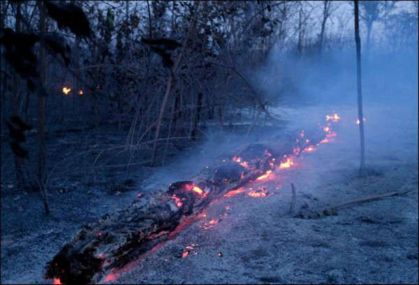 Một đoạn đường rừng Amazon bị cháy ở Canarana, bang Mato Grosso, Brazil vào ngày 26/8/2019. Ảnh: Lucas Landau