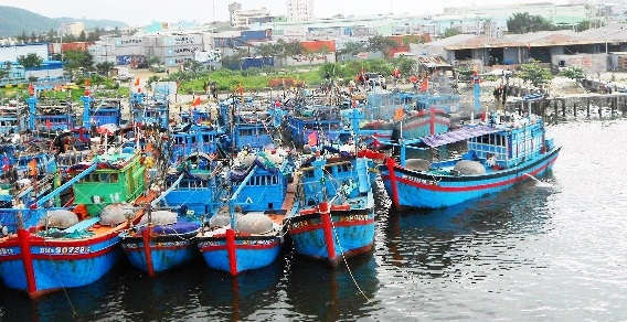 Hàng trăm tàu thuyền của các địa phương vào tránh trú ATNĐ tại Âu thuyền Thọ Quang, Đà Nẵng