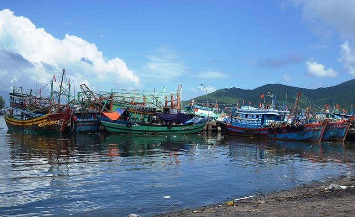 1 trong 7 nhiệm vụ của Kế hoạch là thực hiện các biện pháp bảo vệ môi trường tại Khu công nghiệp Dịch vụ thủy sản Đà Nẵng và Âu thuyền và Cảng cá Thọ Quang