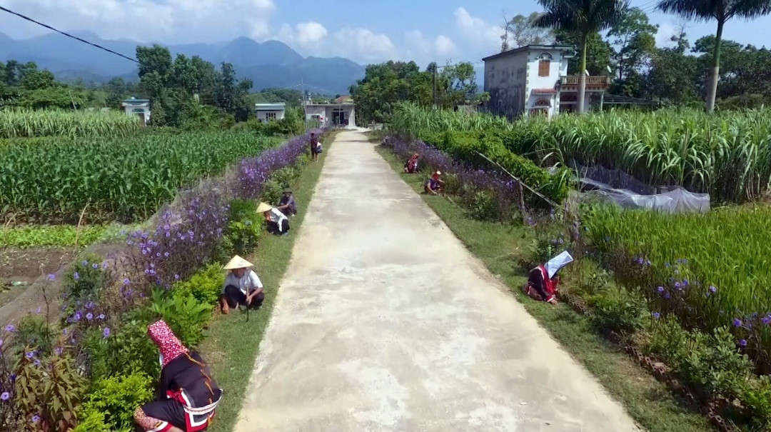 Bà con vùng đồng bào dân tộc thiểu số ở Hải Hà (Quảng Ninh) trồng hoa, vệ sinh môi trường các tuyến đường giao thông nông thôn theo Chương trình xây dựng nông thôn mới Ảnh Thái Hà