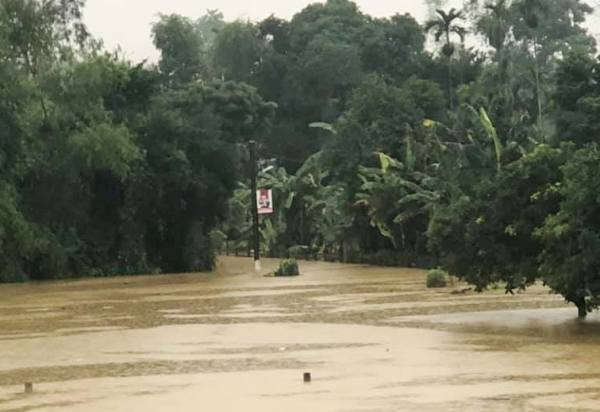 Mưa lũ đã làm ngập nhiều khu dân cư dọc tuyến sông Ngàn Sâu ở huyện Vũ Quang