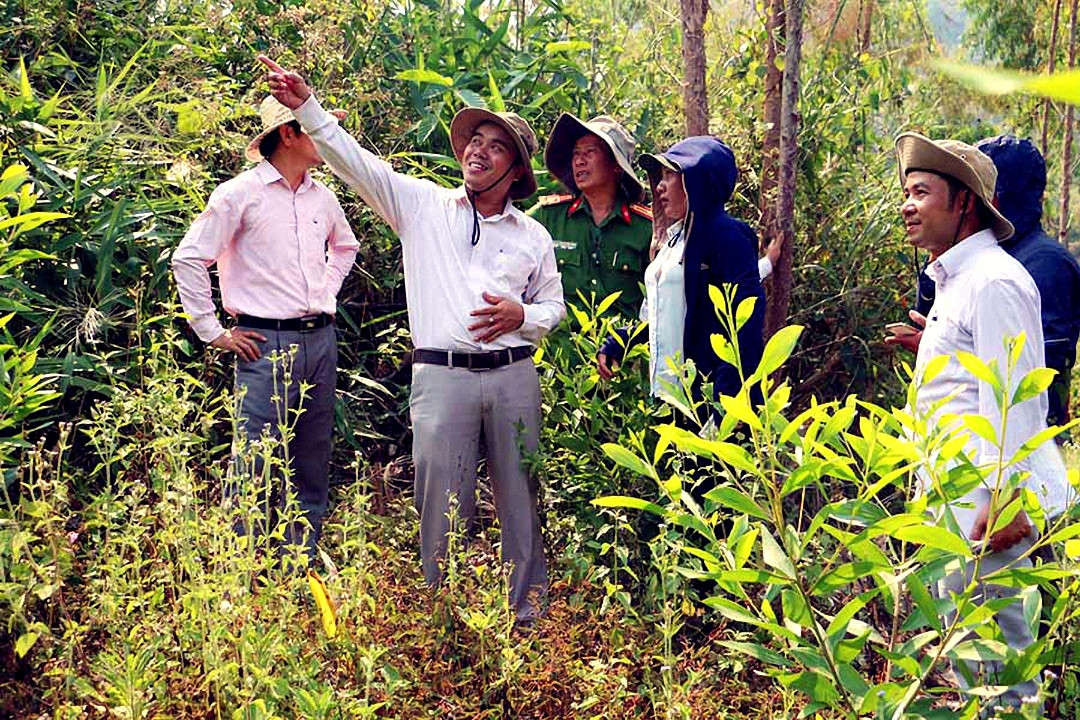 Ảnh Đoàn giám sát của HĐND tỉnh Gia Lai kiểm tra việc triển khai thu hồi đất rừng bị lấn chiếm để chuyển sang cây trồng phù hợp mục đích lâm nghiệp