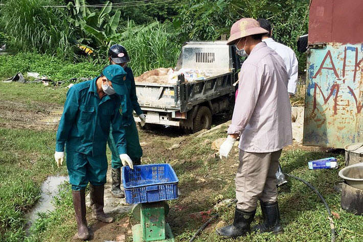 Lực lượng chức năng xác minh, tiêu hủy lợn mắc dịch tả châu Phi tại xã Sam Mứn (huyện Ðiện Biên) tái phát sau khi đã qua 30 ngày.