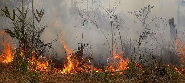 Ngọn lửa bùng cháy trong rừng nhiệt đới Amazon ở Brazil