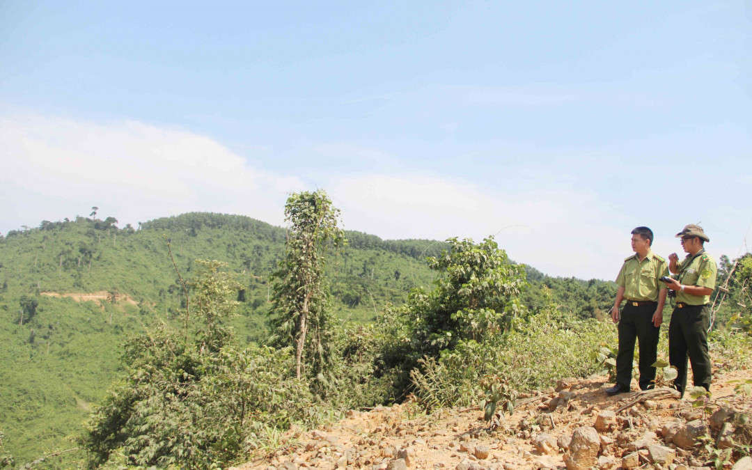 Thừa Thiên Huế là địa phương có diện tích rừng lớn, hệ thống FMS sẽ giúp theo dõi diễn biến rừng dễ dàng hơn...