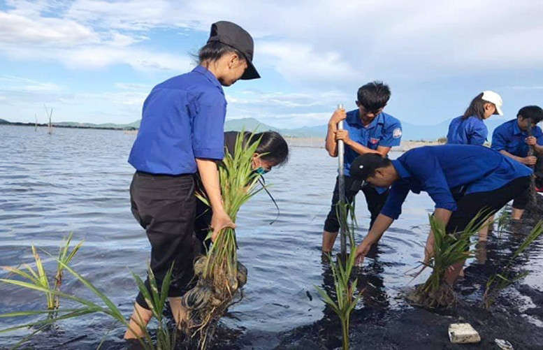 Mở rộng diện tích rừng trồng ngập mặn là điều mà Thừa Thiên Huế hướng đến trong thời gian tới. Trong ảnh là các bạn đoàn viên đang trồng cây ở xã Vinh Hà (huyện Phú Vang) vào tháng 6/2019 vừa qua