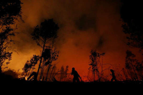 Lính cứu hỏa cố gắng dập tắt đám cháy rừng tại khu vực Vườn Quốc gia Sebangau ở Palangka Raya, tỉnh Kalimantan, Indonesia vào ngày 14/9/2019. Ảnh: Reuters / Willy Kurniawan