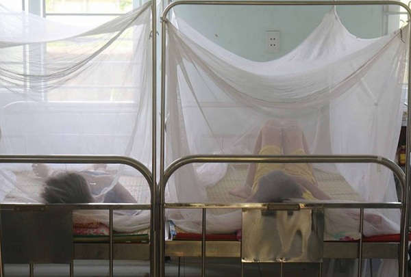 Nghệ An xuất hiện ổ dịch sốt xuất huyết ở 3 xã của huyện Diên Châu 