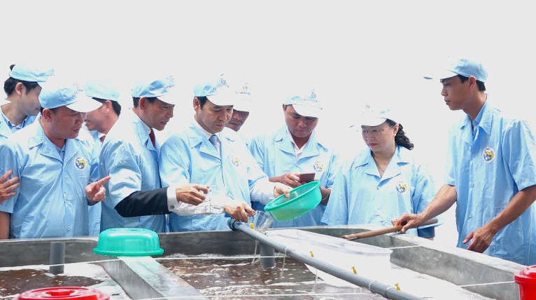 Các đại biểu tham quan trại nuôi tôm giống của Tập đoàn Việt Úc tại xã Tân Lập, huyện Đầm Hà