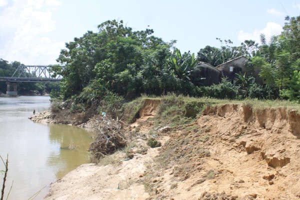Bờ sông sạt lở chỉ cách móng nhà những hộ dân ở xã Sơn Long chừng bước chân