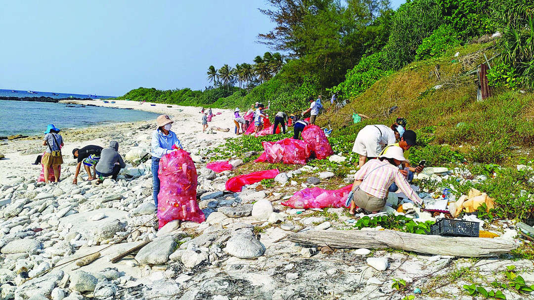 khách du lịch tham gia dọn rác làm sạch biển trong chương trình vì lý sơn không rác thải nhựa
