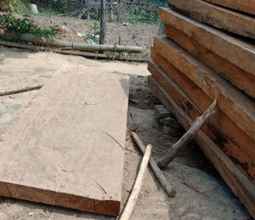 Một trong số 82 sập gỗ được phát hiện tại bản Phì Cao, xã Phình Giàng, huyện Điện Biên Đông, tỉnh Điện Biên do Báo TN&MT phát hiện đưa tin hồi tháng 5/2019