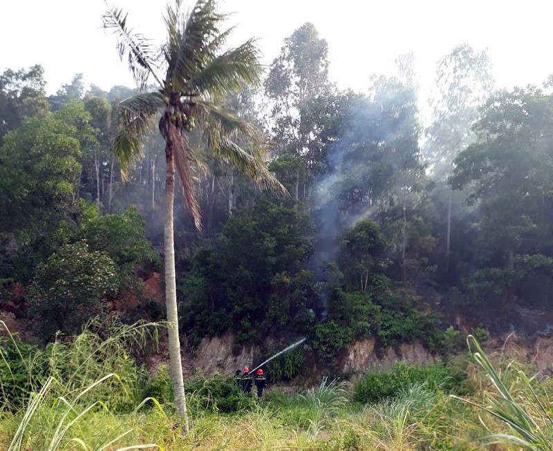 Vụ cháy rừng tại phường Hùng Thắng, TP Hạ Long đã được dập tắt