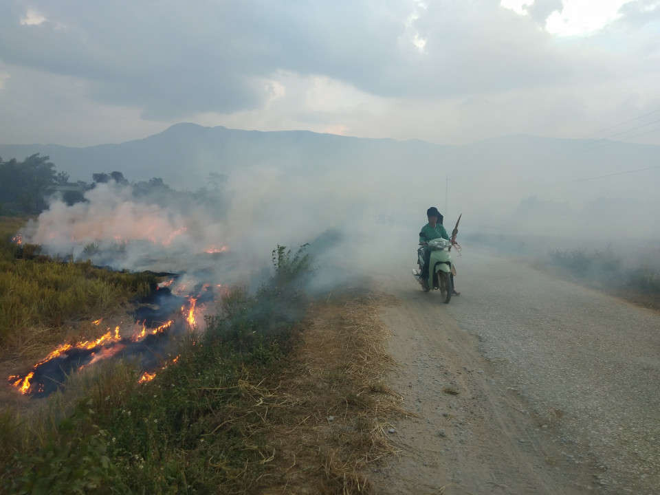 Tình trạng đốt rơm, rạ diễn ra khá phổ biến trên khắp các cánh đồng của tỉnh Điện Biên.