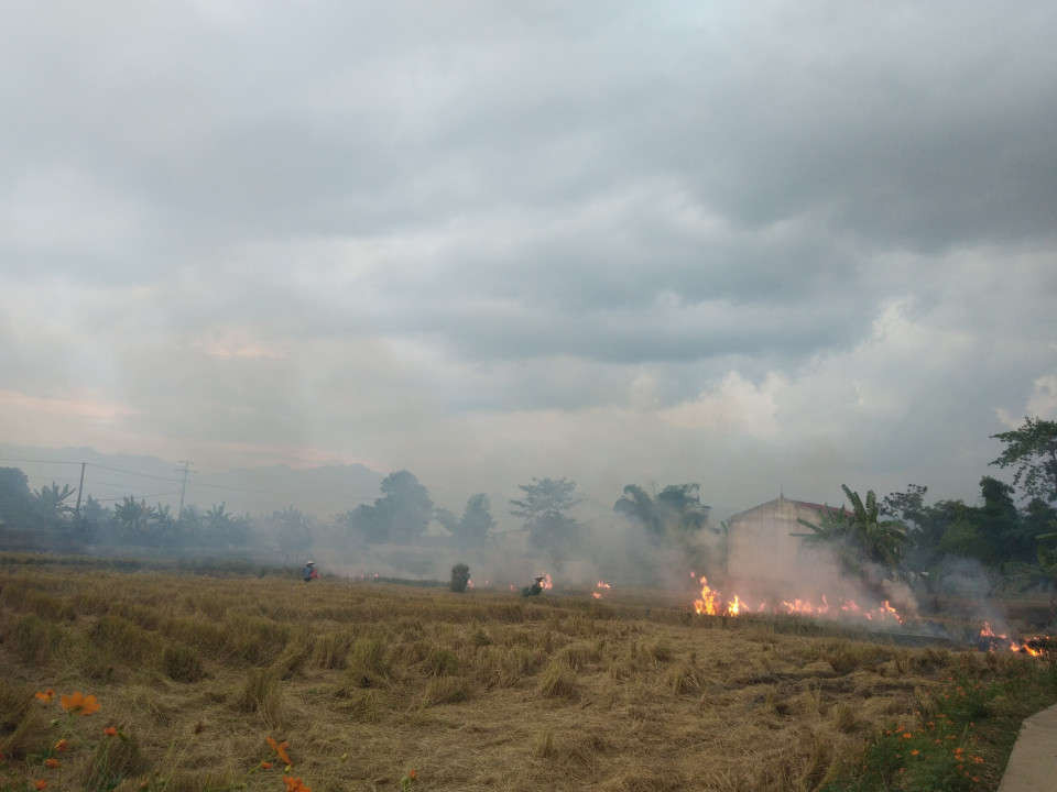 Tình trạng đốt rơm, rạ tại xã Noong Hẹt, huyện Điện Biên.