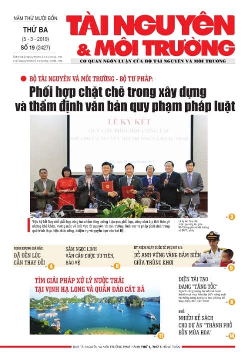 Số 19 - 2019