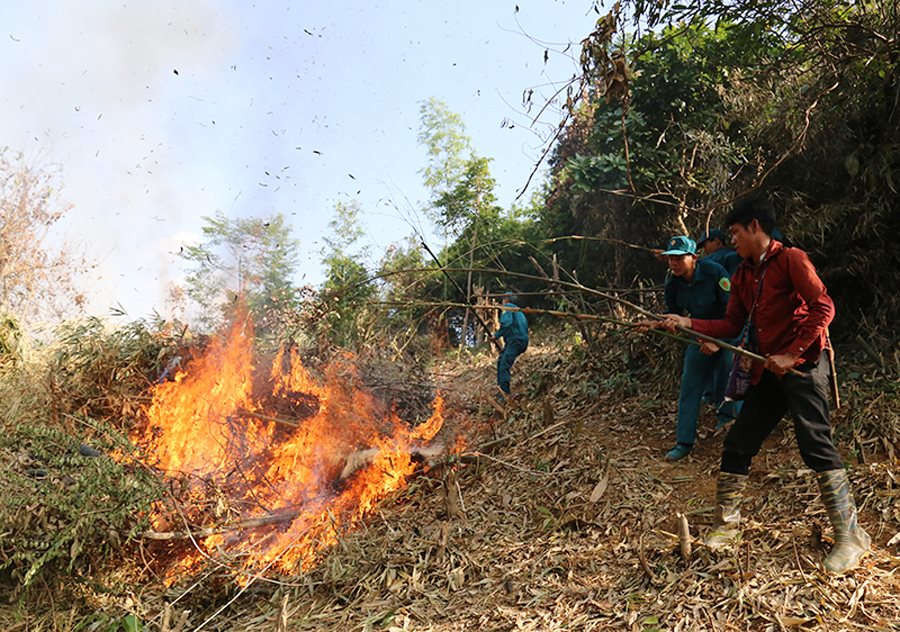 Lào Cai : Tập huấn công tác bảo vệ rừng cho cán bộ cấp cơ sở