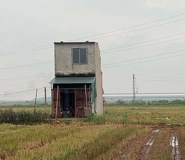 Hưng Yên: Chỉ đạo làm rõ phản ánh của Báo Tài nguyên và Môi trường 