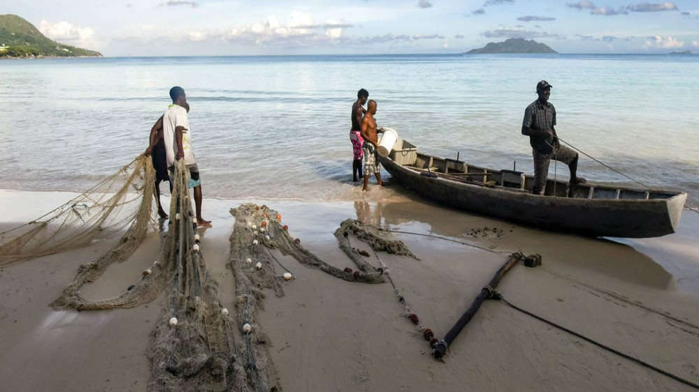 Đánh bắt cá bền vững thịnh hành ở các nước phát triển