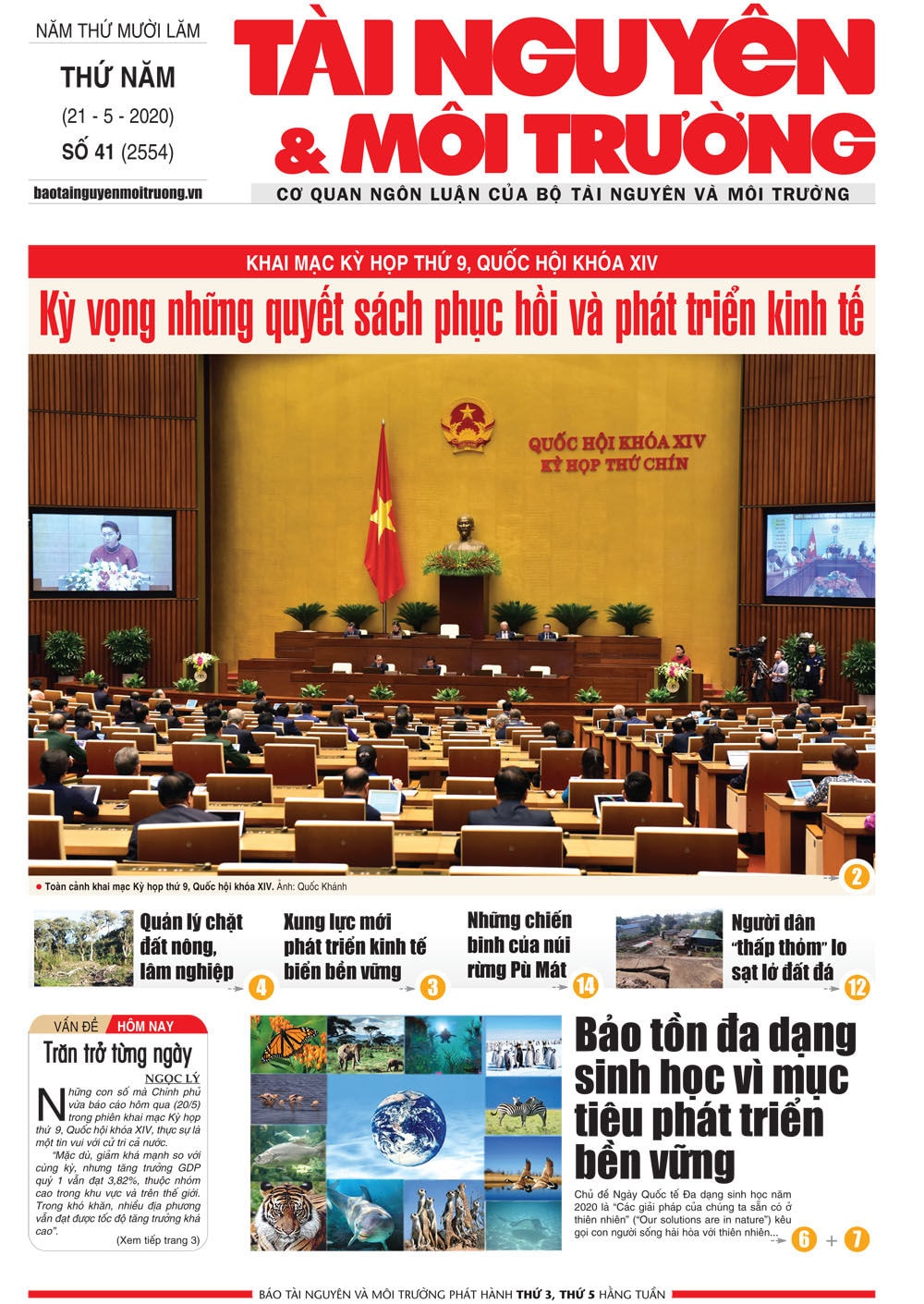 Số 41