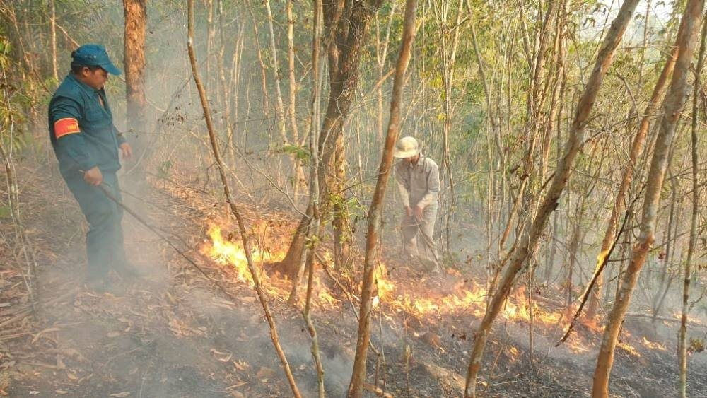 Tăng cường các biện pháp phòng cháy, chữa cháy rừng