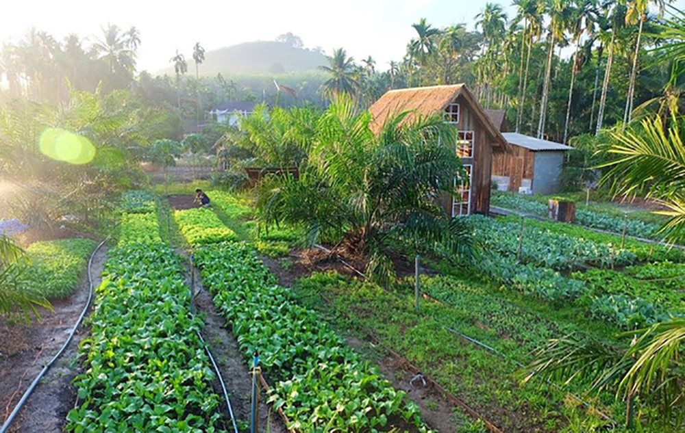 Những khu du lịch Farmstay đẹp khắp Việt Nam  Vntripvn