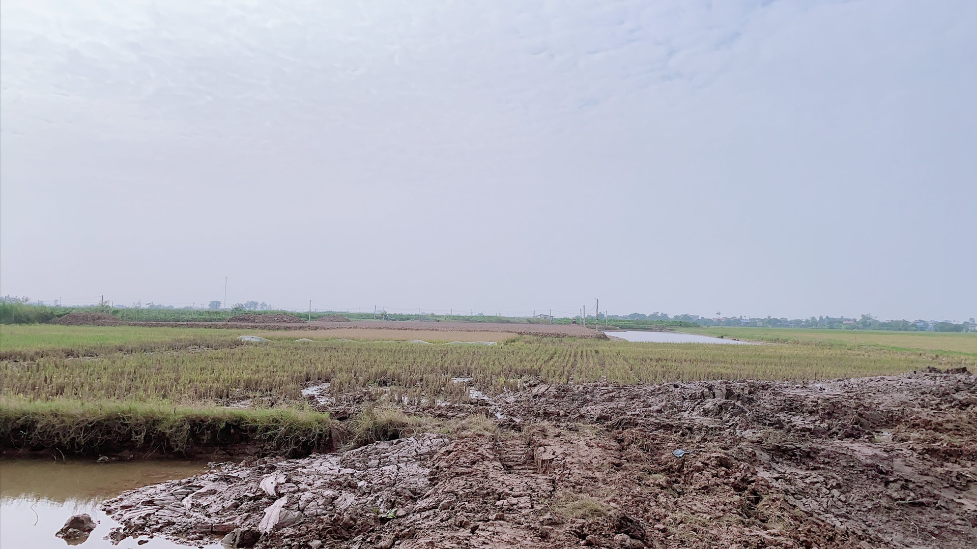 Thái Bình: Cần sớm xử lý việc bán đất ruộng trái phép tại xã Minh Tân, huyện Đông Hưng