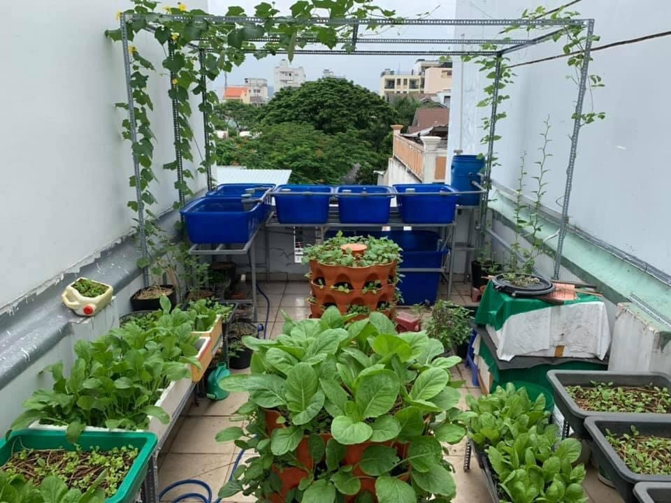 Gợi ý 4 loại tháp trồng rau hữu cơ thông minh cho năng suất cao